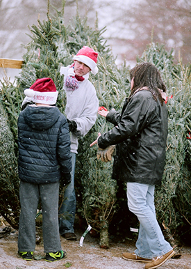 Picking a Tree